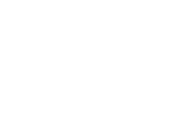 Age of Empires II logo in white