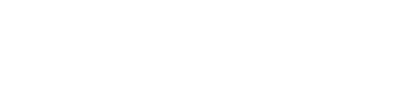Dragon Age II logo in white
