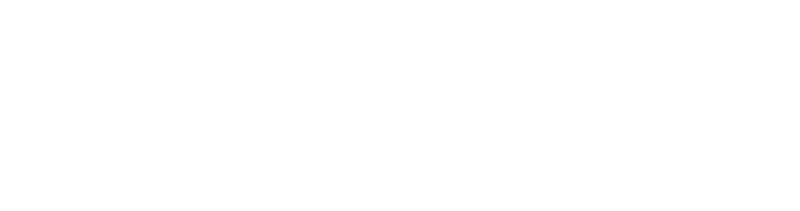 FIFA 19 logo in white