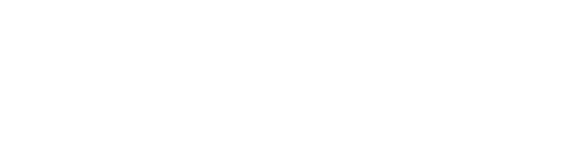 FIFA 21 logo in white