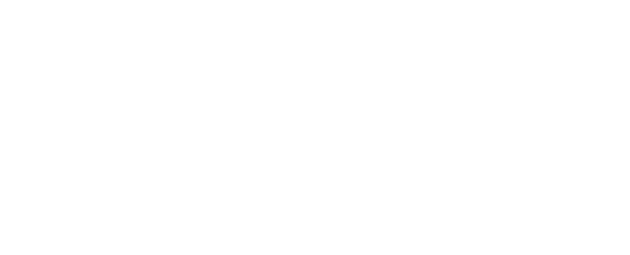 Need for Speed: The Run logo in white