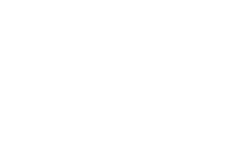 Ōkami logo in white