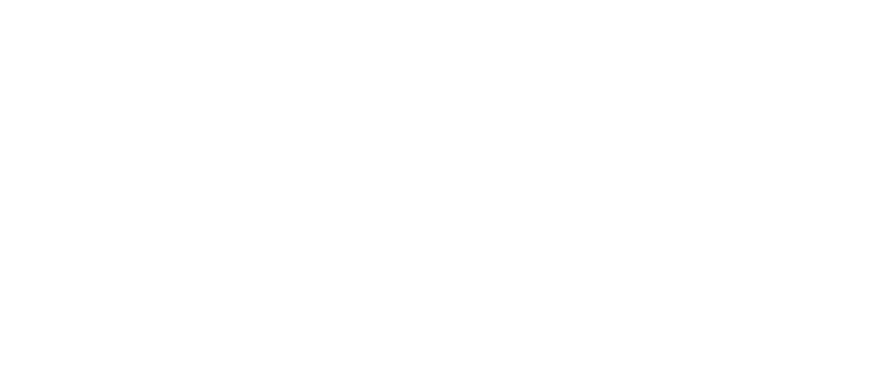 The Legend of Zelda: Breath of the Wild logo in white