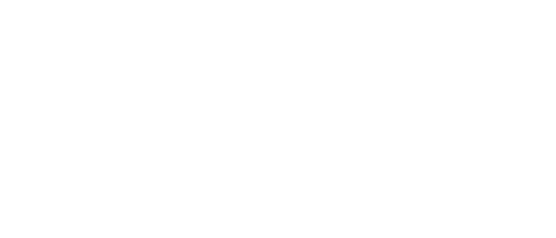 The Legend of Zelda: Skyward Sword logo in white
