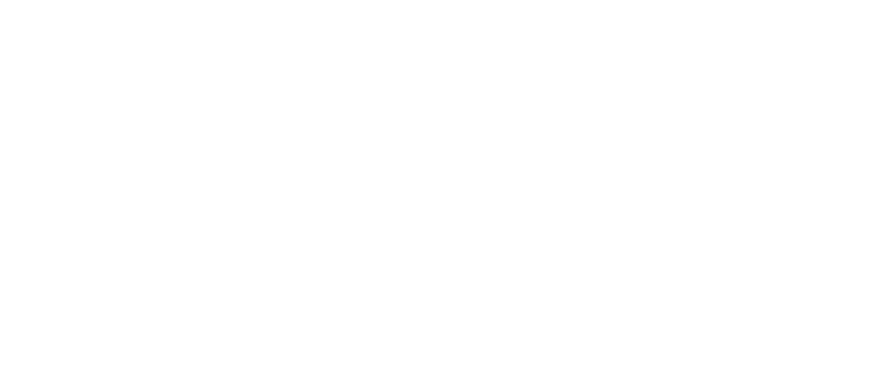 The Legend of Zelda: Tears of the Kingdom logo in white