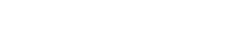 Valorant logo in white