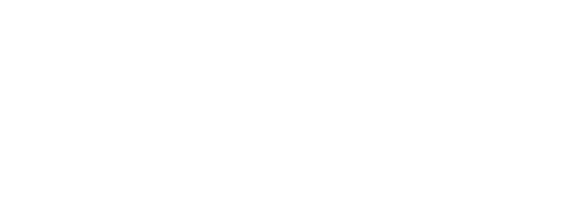 Wolfenstein: The New Order logo in white